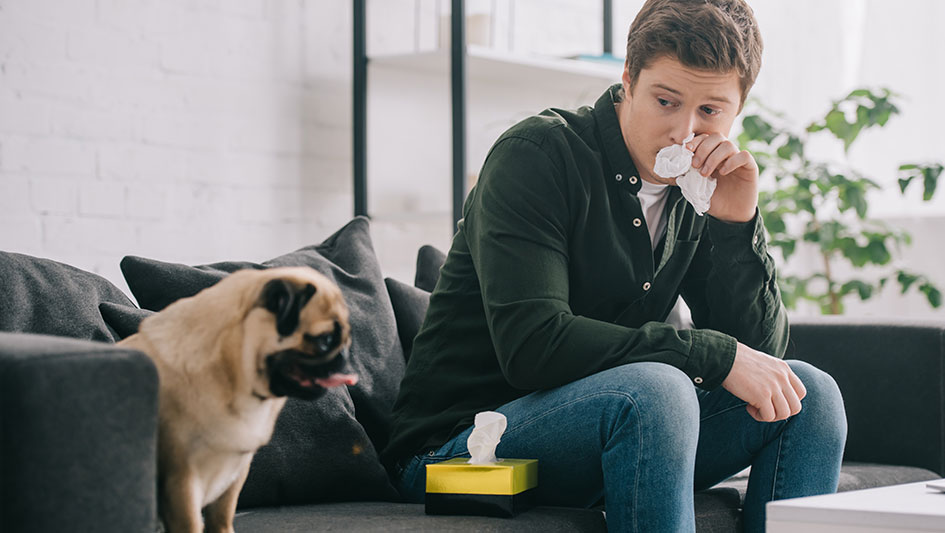 Installing an air purifier is one of the best approaches to enhance your house’s indoor air quality. Learn more about the three best options. 